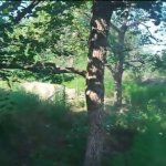 Продажа 4 комнатная Дома/Виллы Горанбой 5