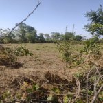 Satılır Torpaq Qəbələ 3