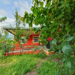 Посуточно 3 комнатная Дома/Виллы Исмаиллы 11