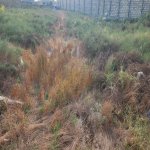 Продажа Участок, Шювалан, Хязяр район 3