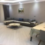 Kirayə (aylıq) 2 otaqlı Yeni Tikili, 28 May metrosu, Qış parkı, Nəsimi rayonu 2