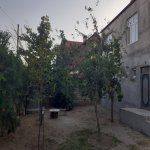 Kirayə (aylıq) 6 otaqlı Bağ evi, Mərdəkan, Xəzər rayonu 13