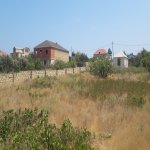 Satılır 2 otaqlı Bağ evi, Saray, Abşeron rayonu 5