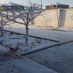 Satılır 5 otaqlı Bağ evi, Saray, Abşeron rayonu 2