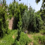 Satılır 7 otaqlı Bağ evi, Goradil, Abşeron rayonu 39
