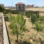 Satılır Torpaq, Masazır, Abşeron rayonu 2
