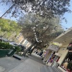Kirayə (aylıq) Obyekt, 20 Yanvar metrosu, 9-cu mikrorayon, Binəqədi rayonu 6