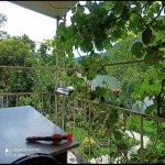 Kirayə (günlük) 3 otaqlı Həyət evi/villa Qax 5