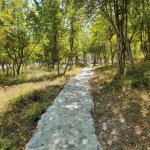 Satılır İstirahət Mərkəzləri İsmayıllı 12