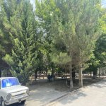 Satılır 4 otaqlı Yeni Tikili Sumqayıt 14