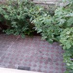 Satılır 7 otaqlı Həyət evi/villa, İnşaatçılar metrosu, Yasamal qəs., Yasamal rayonu 5