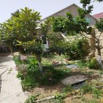 Продажа 2 комнат Дома/Виллы, Гобу, Абшерон район 15