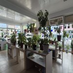 Satılır 6 otaqlı Həyət evi/villa Oğuz 9