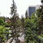 Kirayə (aylıq) 1 otaqlı Köhnə Tikili, Qara Qarayev metrosu, 8-ci kilometr, Nizami rayonu 10