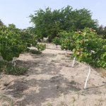 Satılır Torpaq Sumqayıt 2