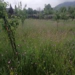 Satılır 4 otaqlı Həyət evi/villa İsmayıllı 18
