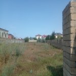 Satılır Torpaq, Fatmayi, Abşeron rayonu 2
