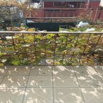 Satılır 4 otaqlı Həyət evi/villa Xırdalan 11