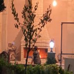 Kirayə (aylıq) 5 otaqlı Bağ evi, Mərdəkan, Xəzər rayonu 7