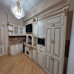 Kirayə (aylıq) 3 otaqlı Yeni Tikili, Nizami metrosu, Nəsimi rayonu 11