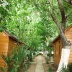 Satılır Obyekt Hacıqabul 1