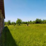 Продажа Участок Гябяля 3