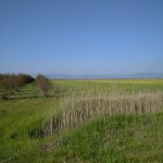 Satılır Torpaq, Nəriman Nərimanov metrosu, 20-ci sahə, Bayıl parkı, Səbail rayonu 3