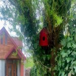 Kirayə (günlük) 3 otaqlı Həyət evi/villa Quba 22