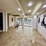 Kirayə (aylıq) Obyekt, Nərimanov rayonu 5