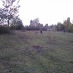 Продажа Участок Гябяля 6