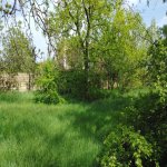 Satılır Torpaq Qusar 4