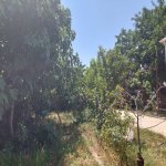 Продажа 5 комнатная Дома/Виллы, м. Короглу метро, пос. Пиршаги, Сабунчу район 12