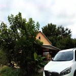 Kirayə (günlük) 3 otaqlı Həyət evi/villa İsmayıllı 1