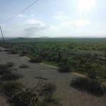 Satılır Torpaq, Masazır, Abşeron rayonu 4