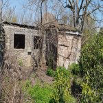 Satılır 6 otaqlı Həyət evi/villa Lənkəran 21
