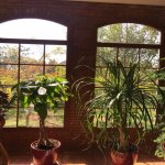 Satılır 8 otaqlı Həyət evi/villa Şəki 12