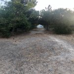 Satılır 8 otaqlı Bağ evi, Goradil, Abşeron rayonu 21