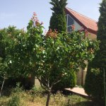 Satılır 4 otaqlı Həyət evi/villa, Mərdəkan, Xəzər rayonu 20