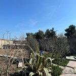 Satılır Torpaq, Koroğlu metrosu, Nardaran qəs., Sabunçu rayonu 2