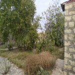 Продажа Участок, Сабунчу район 11