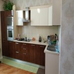 Аренда 2 комнатная Новостройка, м. 20 Января метро, Ясамал район 3