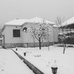Kirayə (günlük) 4 otaqlı Həyət evi/villa İsmayıllı 2