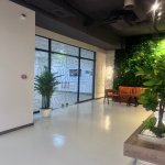 Kirayə (aylıq) 10 otaqlı Ofis, Nəsimi rayonu 3