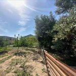 Satılır Torpaq, Şüvəlan, Xəzər rayonu 5