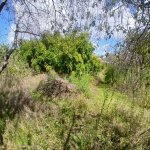 Продажа Участок, пос. Маштага, Сабунчу район 5