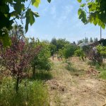 Satılır Torpaq, Şüvəlan, Xəzər rayonu 15