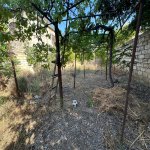 Satılır Torpaq, Bakıxanov qəs., Sabunçu rayonu 2