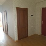 Kirayə (aylıq) 3 otaqlı Yeni Tikili, Nəriman Nərimanov metrosu, Montin qəs., Nərimanov rayonu 21
