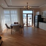 Kirayə (aylıq) 2 otaqlı Yeni Tikili, 28 May metrosu, Nəsimi rayonu 16
