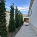 Kirayə (aylıq) 5 otaqlı Həyət evi/villa, Mərdəkan, Xəzər rayonu 13
